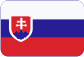 Stěhování Česká republika Slovensky